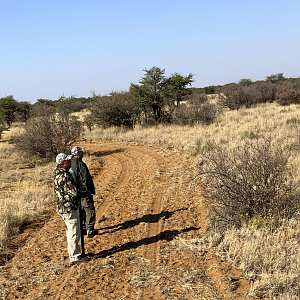 Eland Hunt South Africa