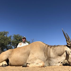 South Africa Hunting Eland