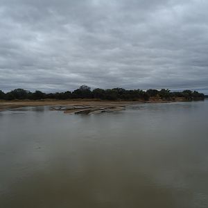 Luangwa River Zambia