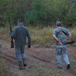 Tracking Buffalo