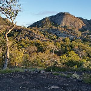 Zimbabwe Hunting Area