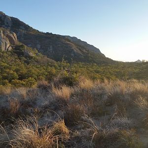 Zimbabwe Hunting Area