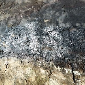 Water seeping from the side of a sheer granite wall