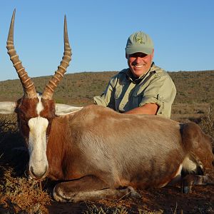 South Africa Hunt Blesbok