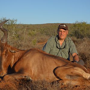 Hunting Red Hartebeest South Africa