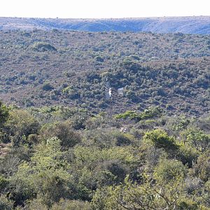 South Africa Hunting Area