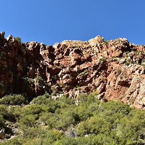 Hunting Area in South Africa