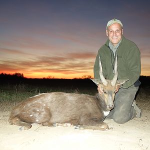 Hunt Bushbuck South Africa