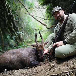 South Africa Hunting Bushbuck