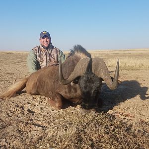 Hunt Black Wildebeest South Africa