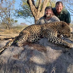 Zimbabwe Hunting Leopard