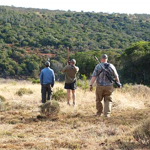 Nyala Hunt South Africa