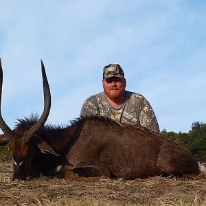 South Africa Hunt Nyala