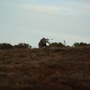 Hunting Bushbuck from Shooting Stick