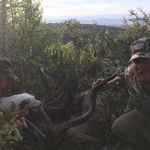 Hunting Kudu South Africa