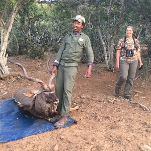 Kudu Hunt in South Africa