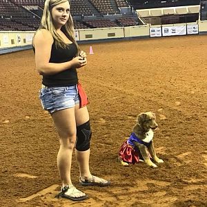 Sydney’s pup won the costume contest as wonderwomen