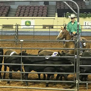 2018 AQHA Team Penner Youth World Championship