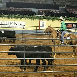 2018 AQHA Team Penner Youth World Championship