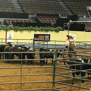 2018 AQHA Team Penner Youth World Championship