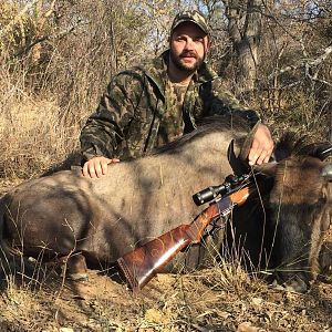 South Africa Hunt Blue Wildebeest