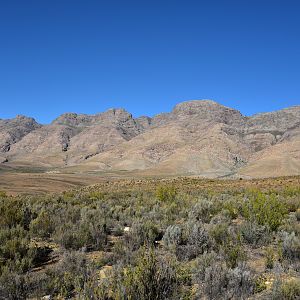 Hunting Area South Africa