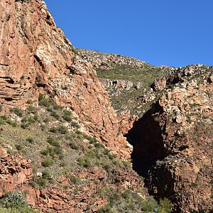 Hunting Area in South Africa