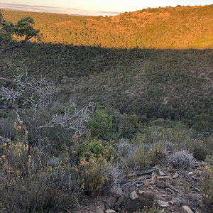 Hunting Area South Africa