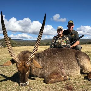 Waterbuck Hunting in South Africa