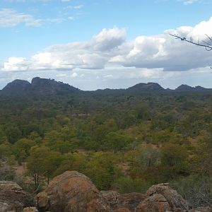 Zimbabwe Hunt