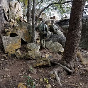 Klipspringer Hunting in Zimbabwe