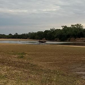 Elephants Zambia