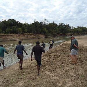 Recovering Hippo from the water Zambia