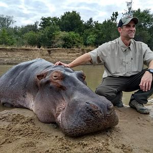 Hunting Hippo Zambia