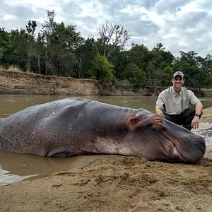 Zambia Hunt Hippo