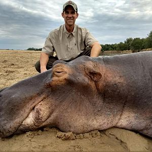 Hippo Hunting in Zambia