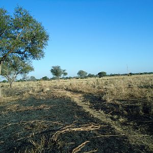 Hunting in Zambia