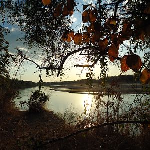 Luangwa River Zambia