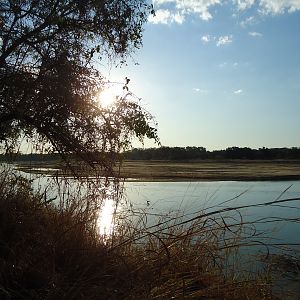 Luangwa River Zambia