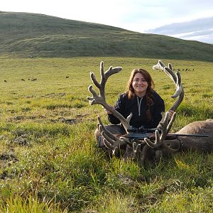 Hunting Caribou in USA