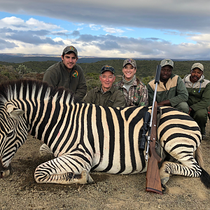 South Africa Hunting Burchell's Plain Zebra