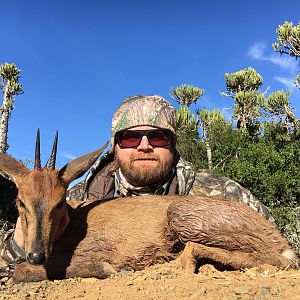 South Africa Hunting Duiker