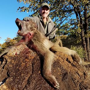 Zimbabwe Hunt Baboon