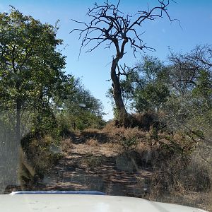 Zimbabwe Terrain & Landscape