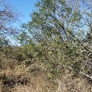 Zimbabwe Terrain & Landscape