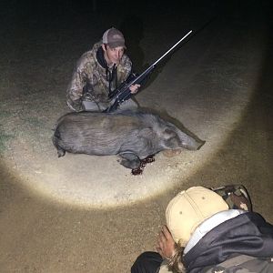 Bushpig Hunt South Africa