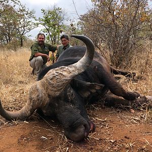 Hunt Cape Buffalo in Zimbabwe