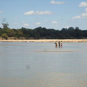 Recovering Crocodile from river Zambia