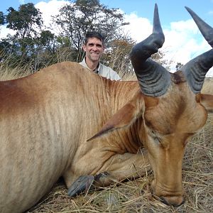 Hunt Lichtenstein's Hartebeest in Zambia