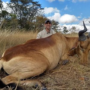 Zambia Hunting Lichtenstein's Hartebeest